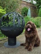 Превью фото № 236073