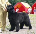 Превью фото № 30722