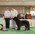 Превью фото № 81715