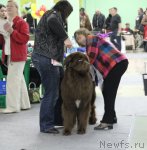 Превью фото № 91970