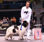 Превью фото № 92399