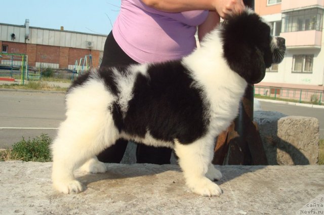 Фотография № 100000