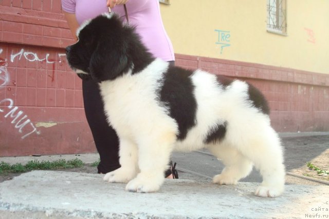 Фотография № 100002