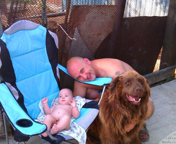 Фото: Irina Nistratova (Ирина Нистратова), Aleksey Nistratov (Алексей Нистратов), Даник