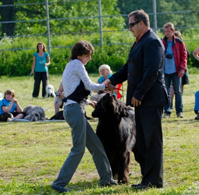 Фотография № 100038