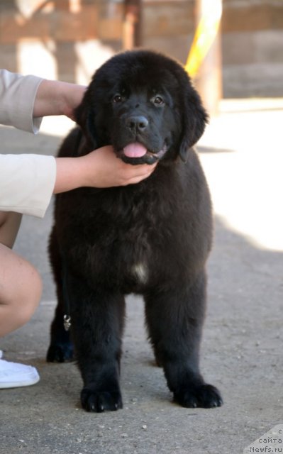 Фотография № 100048