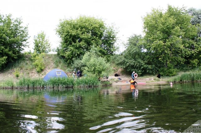 Фотография № 100060