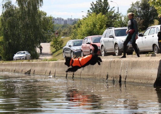 Фотография № 100067