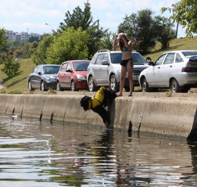 Фотография № 100068