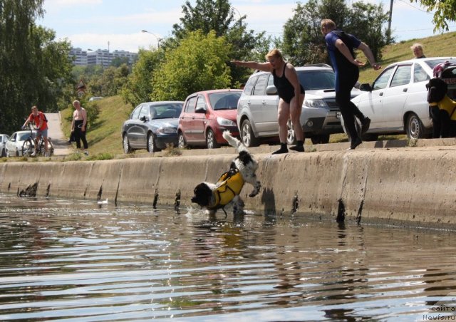 Фотография № 100071