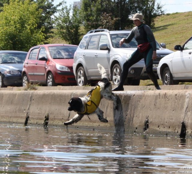 Фотография № 100072