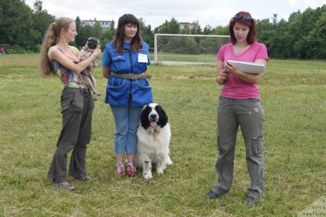 Фотография № 100076