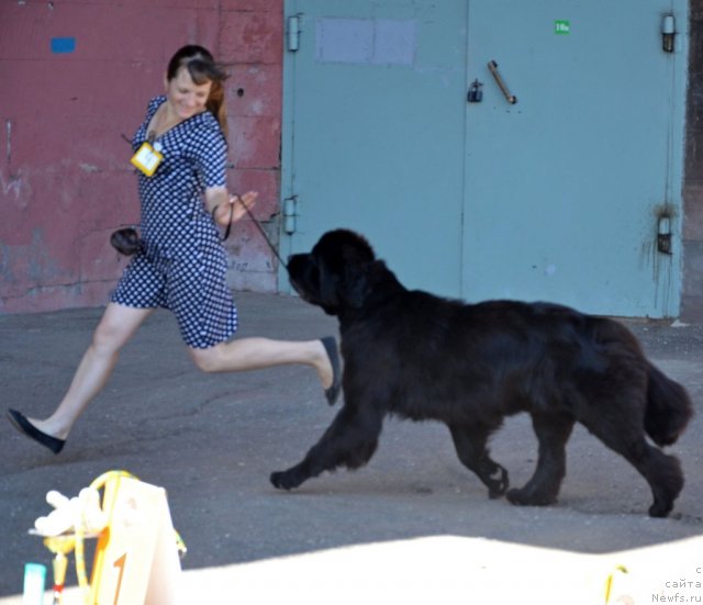 Фотография № 100199