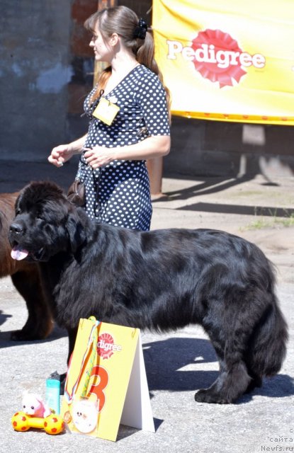 Фотография № 100200