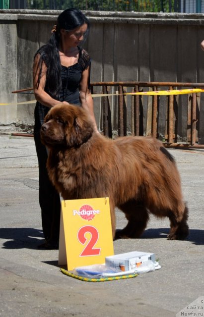 Фотография № 100204