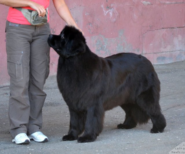 Фотография № 100212