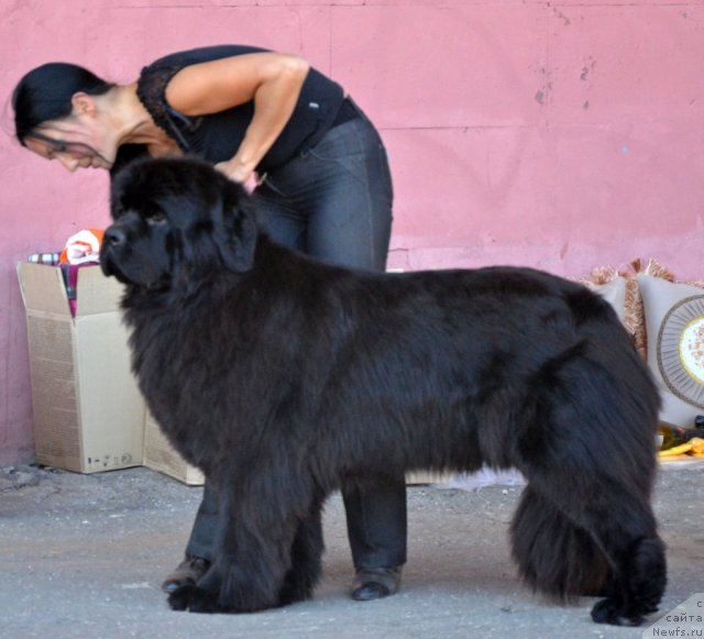 Фотография № 100213