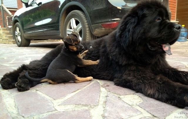 Фотография № 100249