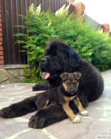 Фотография № 100250