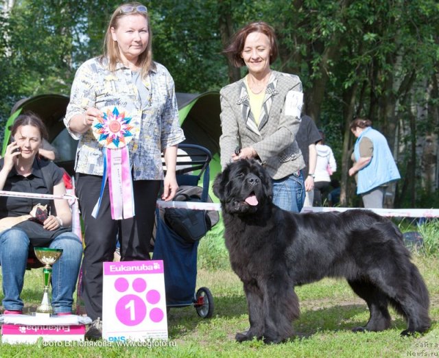 Фотография № 100290