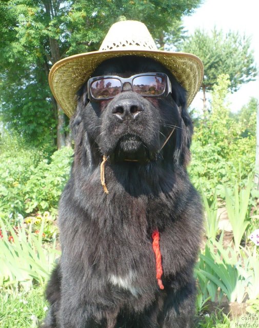 Фотография № 100308