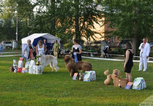 Фотография № 100309