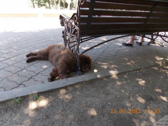 Фотография № 100319