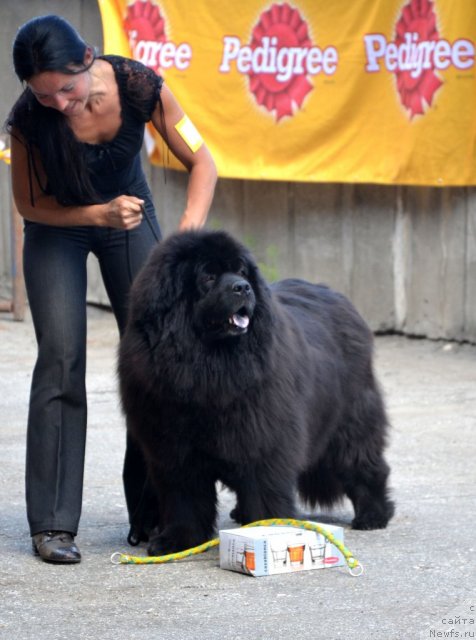 Фотография № 100337