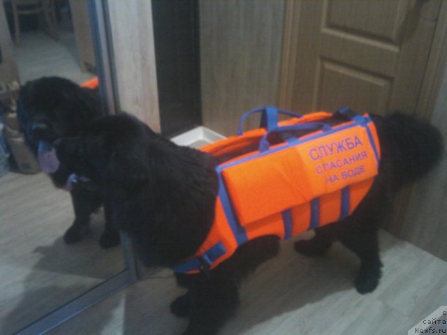 Фотография № 100341