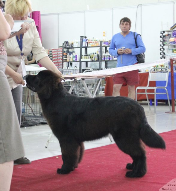 Фото: Акватория Келвин Ундиспьютид Винс