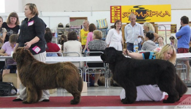 Фото: Aqutoriya Kelvin Ocean Dream и Koketka Ot Channel Iz Medvejyego Yara