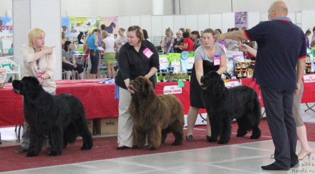 Фотография № 100470