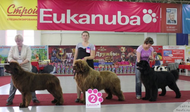 Фотография № 100472