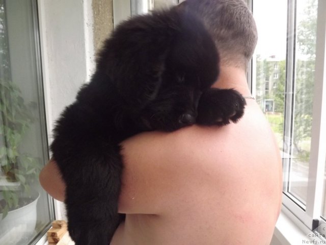 Фото: Elena Cyiganova (Елена Цыганова)