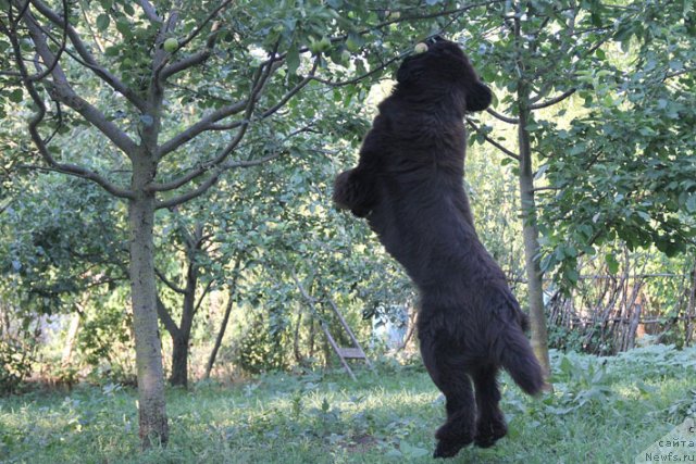 Фотография № 100504