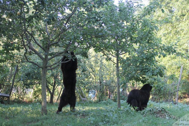 Фотография № 100506