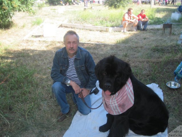 Фотография № 100607