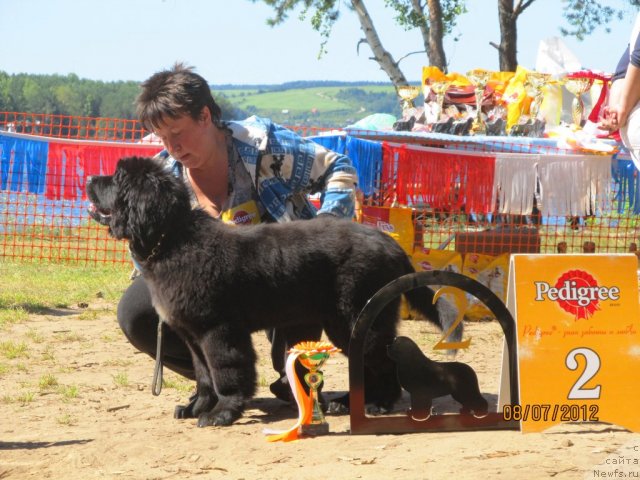 Фото: Vera Gniteeva (Вера Гнитеева)