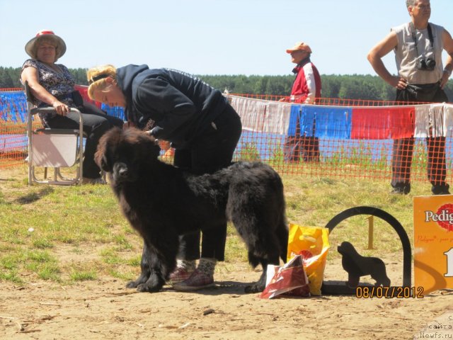 Фото: Tat'yana Abutova (Татьяна Абутова)