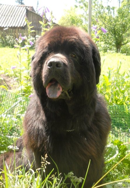 Фотография № 100615