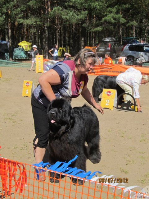 Фото: Irina Gabova (Ирина Габова), ньюфаундленд Aquatoriya Kelvin Olympus (Акватория Келвин Олимпус)