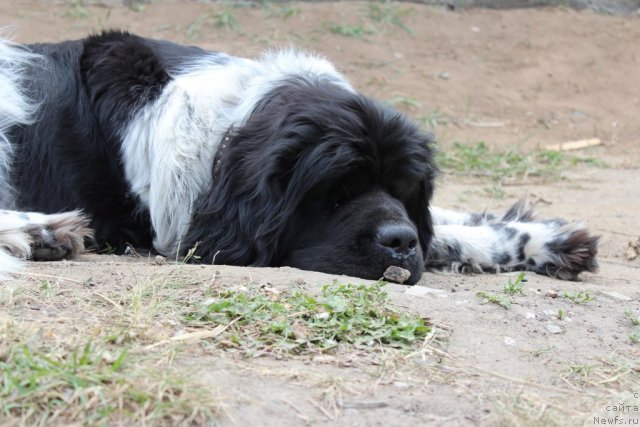 Фотография № 100708