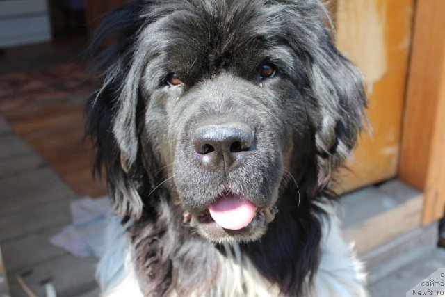 Фотография № 100713