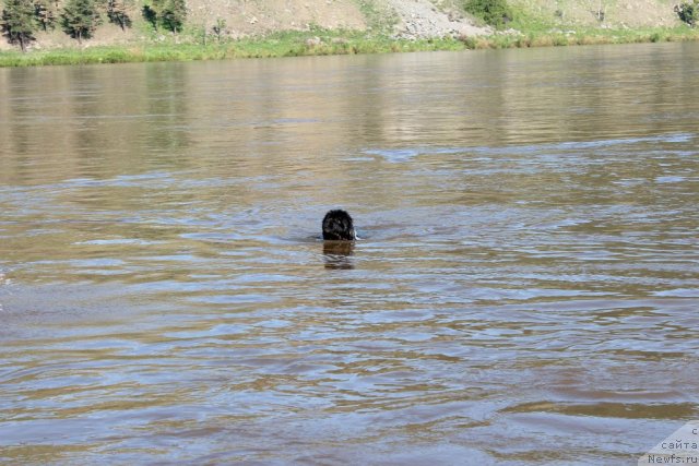 Фотография № 100716