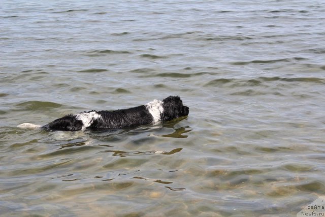 Фотография № 100719