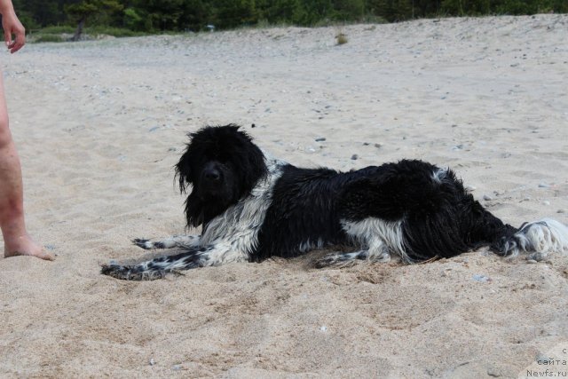 Фотография № 100720