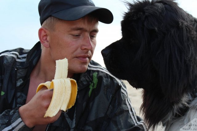 Фотография № 100722