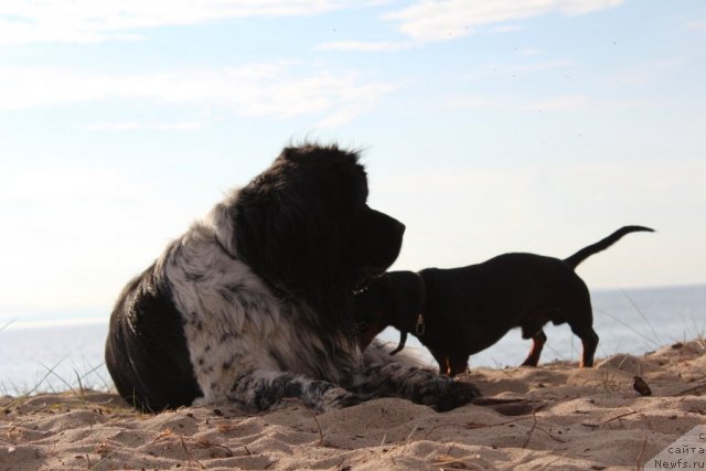 Фотография № 100723