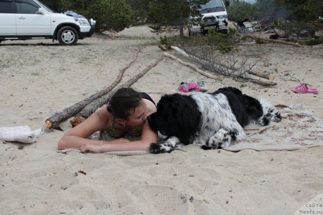 Фотография № 100724