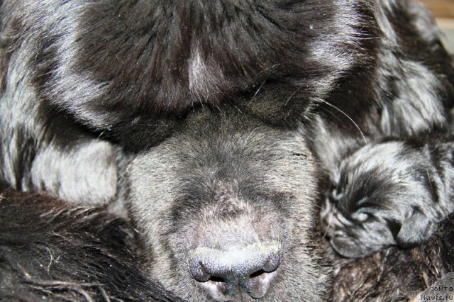 Фотография № 100798